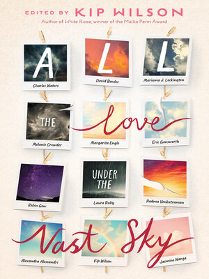 cover image of All the Love Under the Vast Sky